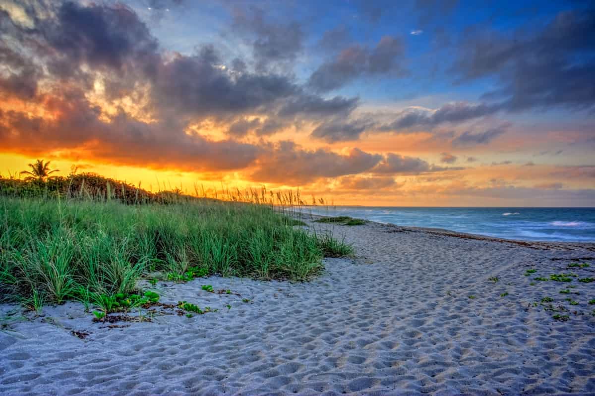 Martin County's Best Beaches to Find Sea Shells